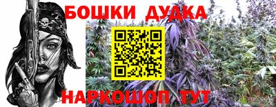 шишки Краснокаменск
