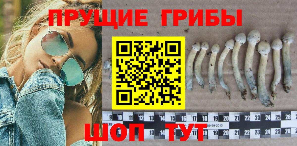 Галлюциногенные грибы мухоморы Ялуторовск
