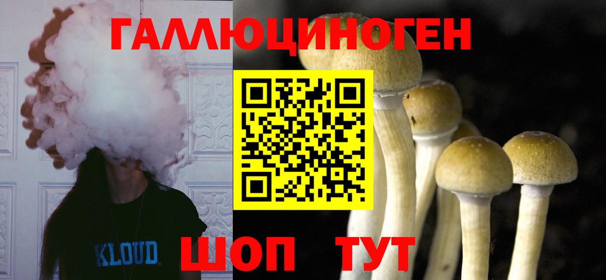 купить наркотики сайты  Вход с VPN  Галлюциногенные грибы Psilocybe  Ялуторовск  Галлюциногенные грибы мухоморы 